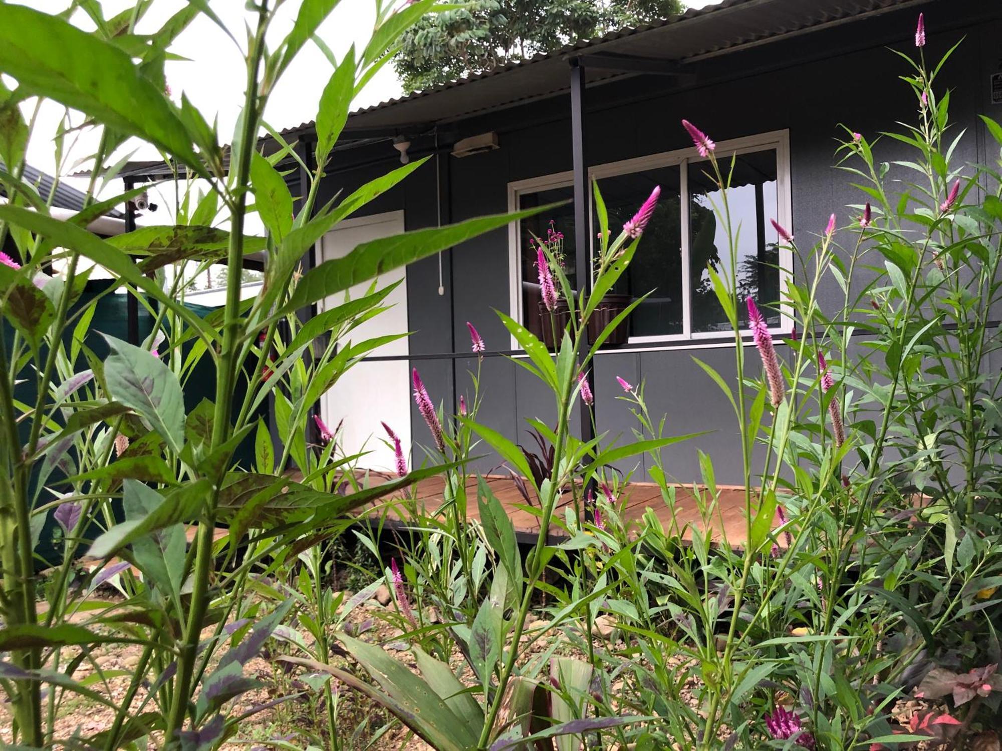 Apartamentos Equipados Dmr #3 Uvita Exterior photo